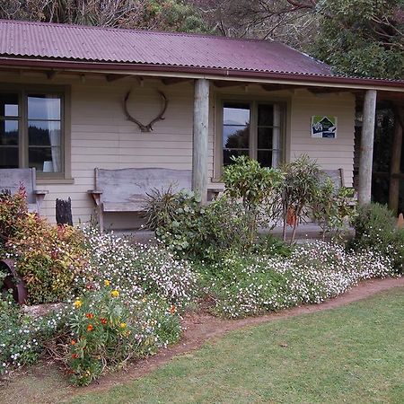 Wheatly Downs Farmstay And Backpackers Hawera Dış mekan fotoğraf