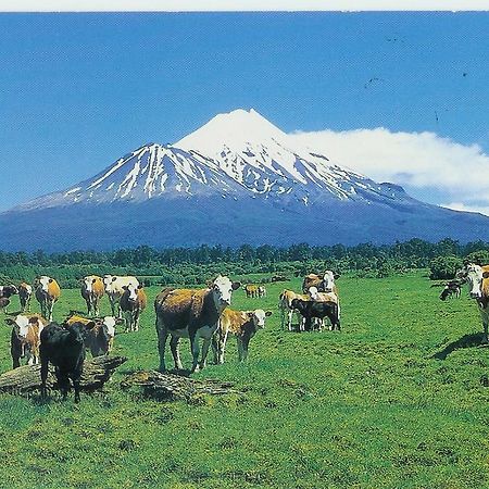 Wheatly Downs Farmstay And Backpackers Hawera Dış mekan fotoğraf